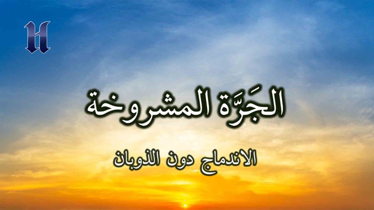 الاندماج دون الذوبان