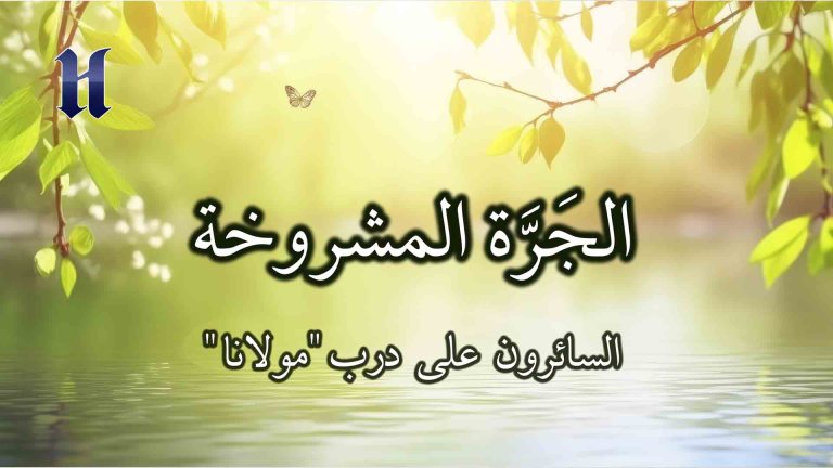 "السائرون على درب "مولانا